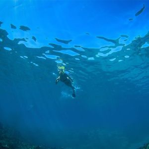 Meet your Posher, Jae